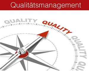 Webbasiertes Qualitätsmanagement nach DIN EN ISO 9001